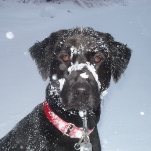 Fundraising Page: Ruth Kivisto